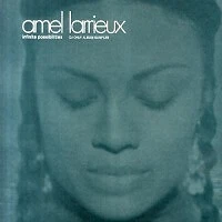 Amel Larrieux - Infinite Possibilities (12", Promo, Smplr)