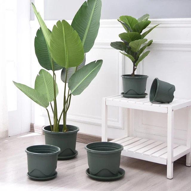 d'usine Plastique Planteur Pot de Plante Boîte succulente Pots de fleurs