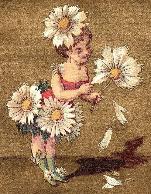 Lovely Fantasy Girl Giant Flowers Jones & Davis Wax Flowers Trade Card P4