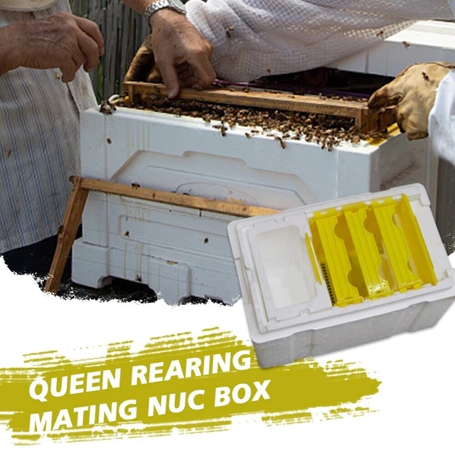 QUEEN BEE REARING Mating Beehive Nuc Harvest Pollination Bees Hive Box