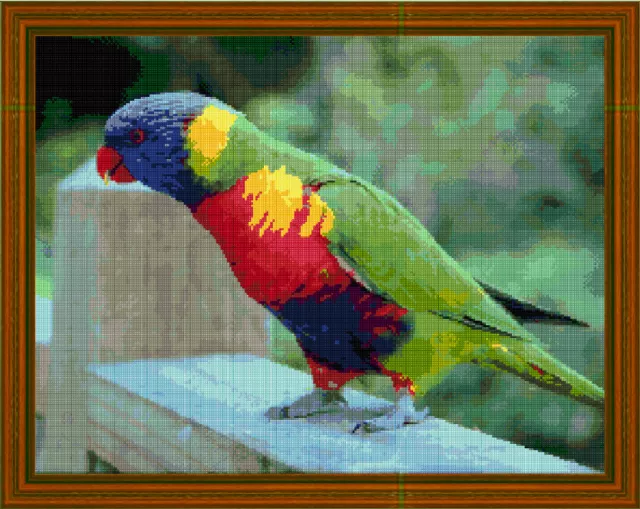 RAINBOW LORIKEET - cross stitch chart 2