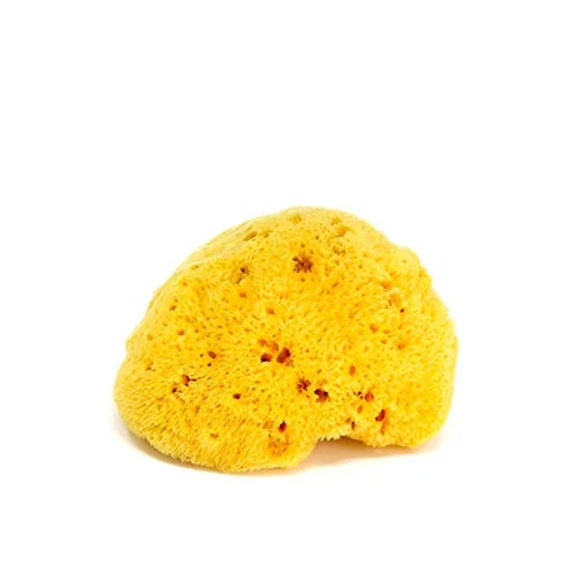OKBABY Fine Dama - Spugna Naturale dal Mar Mediterraneo per il Bagnetto del Neon