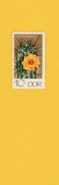 Flowers #289 on decorative paper, laminated bookmark