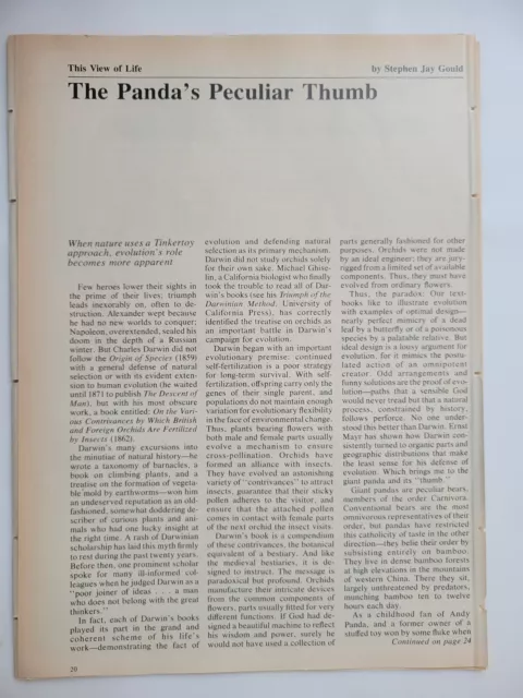 Stephen Jay Gould "The Panda's Peculiar Thumb" Article NH 1978 ~8x10" 4pp