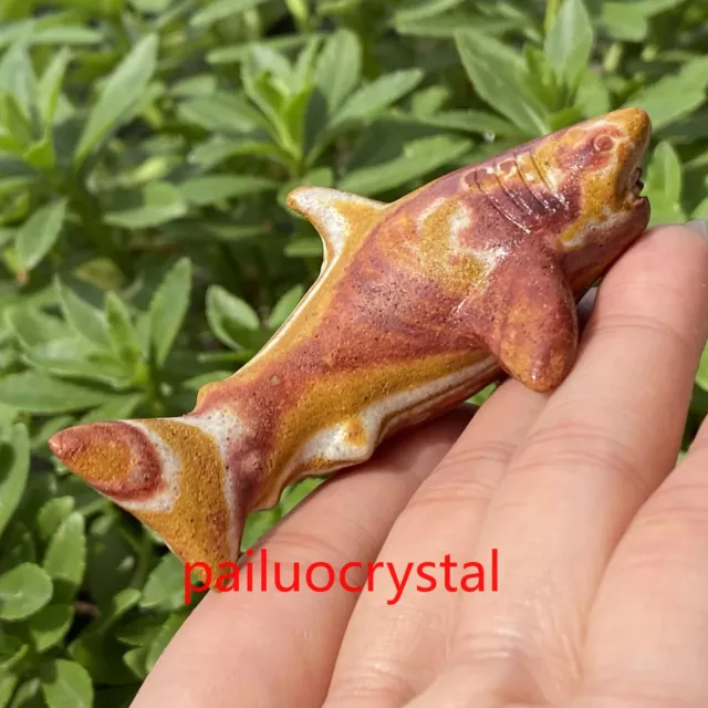 Wholesale Natural Mixed Shark Quartz Crystal Skull Carved Figurines Healing 3"
