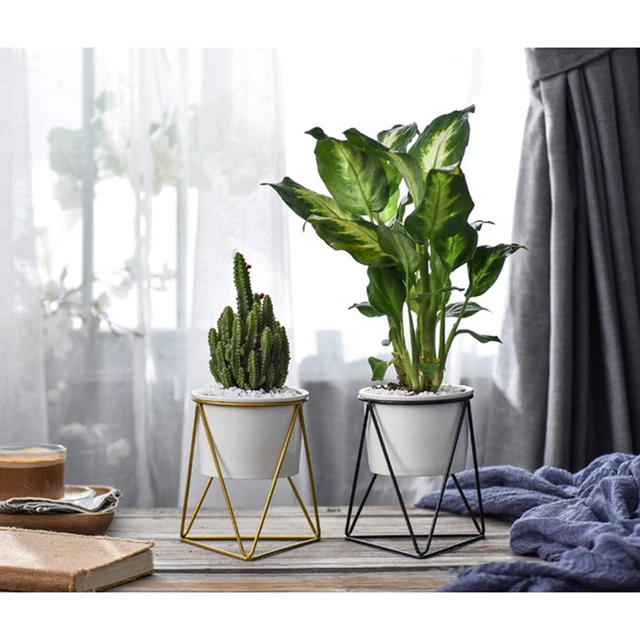3x Porzellan Sukkulenten Pflanzer Kleine Topf Garten Keramik Blumentopf 7