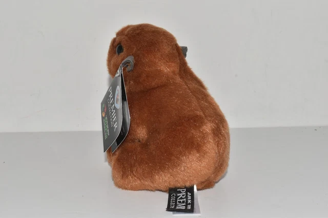 PREMIER COLLECTION CAPYBARA Small Soft Plush Toy - New Card Tagged £6. ...