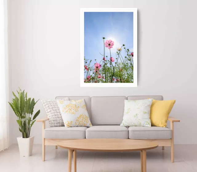 Pink Daisy Print, Daisy Plant Wall Art, Blue Sky Framed Flower Wall Art, Floral