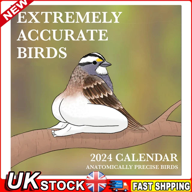 2024 CALENDAR OF EXTREMELY ACCURATE BIRDS, 2024 Bird Wall Calendar