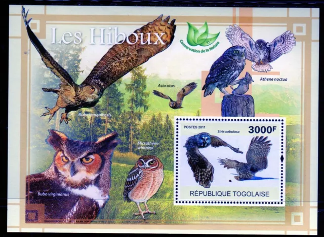 TOGO 2011 OWLS, BIRDS MINT VF NH O.G S/S (5TOa)