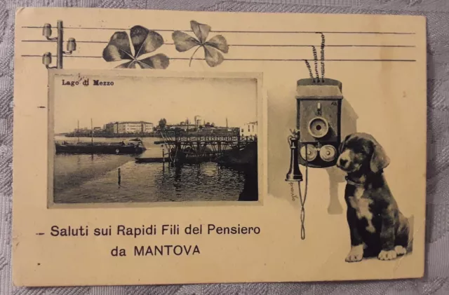 Cartolina Saluti Sui Rapidi Fili Del Pensiero Da Mantova Lago Di Mezzo Viaggiata