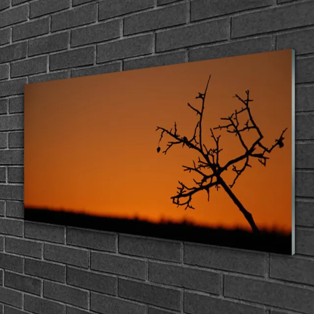 Wandbilder 100x50 Glasbild Druck auf Glas Baum Kunst