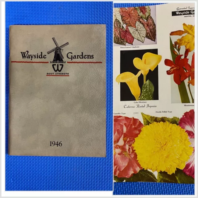 Vintage 1946 Wayside Gardens Ohio Catalog Field Garden Flower Seeds Estate Find