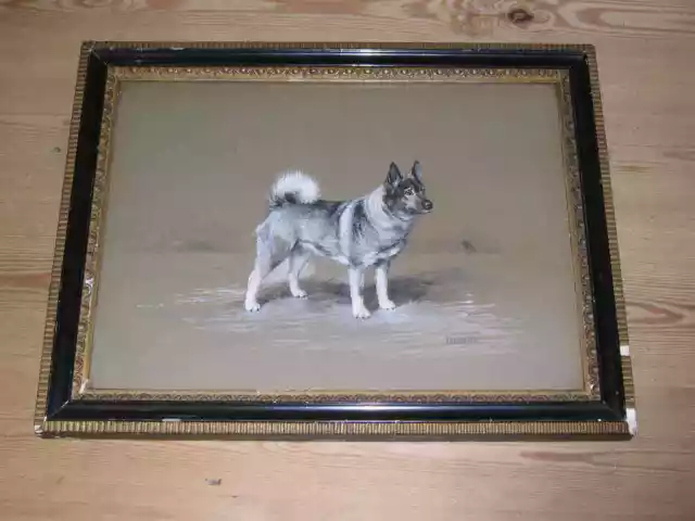 Large Antique Norwegian Elkhound Dog Watercolour Painting Ward Binks 1929