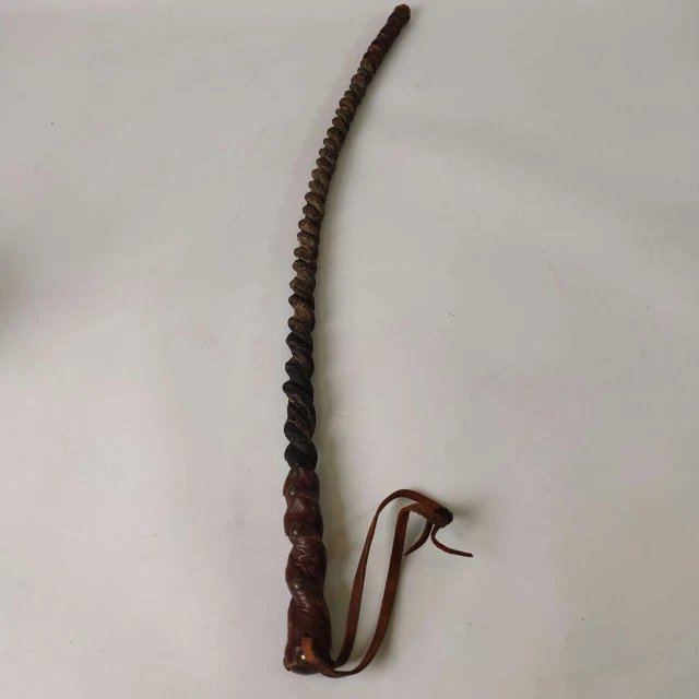 Récipient en bois en corne de bœuf relié en cuir En vente sur 1stDibs