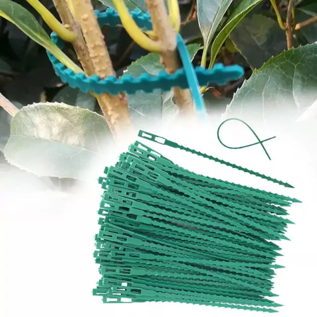 50/100pcs Reusable Plastic Plant Support Clips clamps Plants Hanging Vine Gar X!