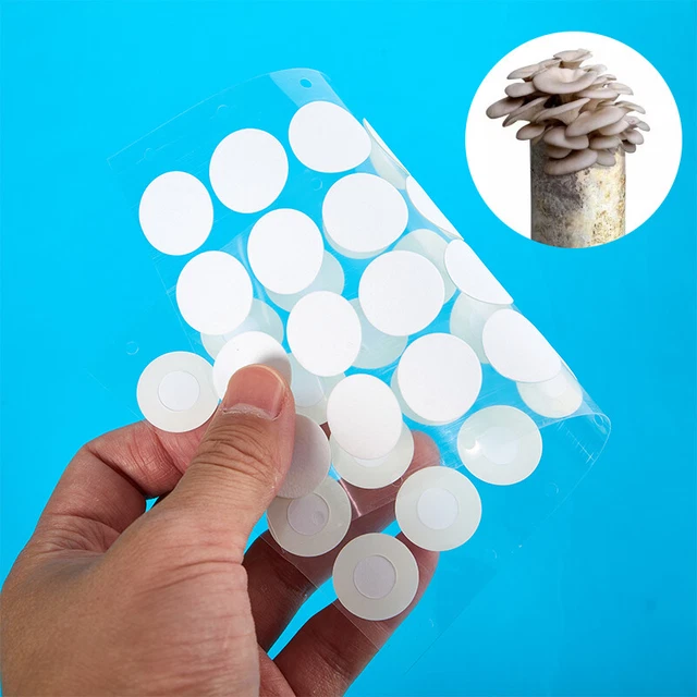 32PCS SYNTHETIC FILTER Paper Stickers 20mm,Membrane for Mushroom ...