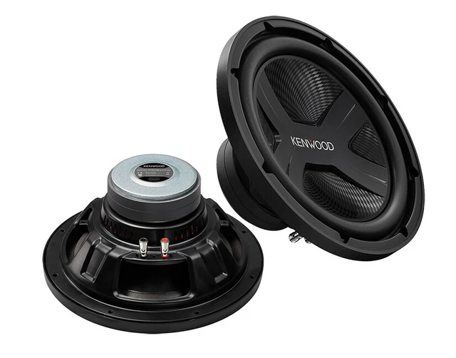 Auto Subwoofer Chassis