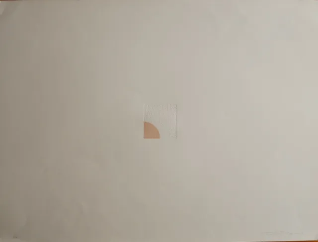 ELIO MARCHEGIANI incisione Grammature di Colore 48x65 firmata numerata 1976