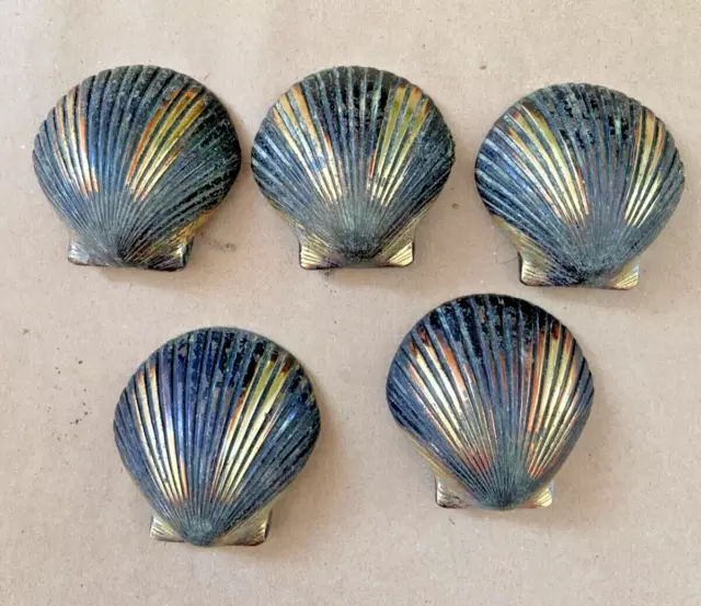 5 Vintage Brass Seashell Drawer Pulls Knobs Clam Cabinet Sea Shell Ribbed