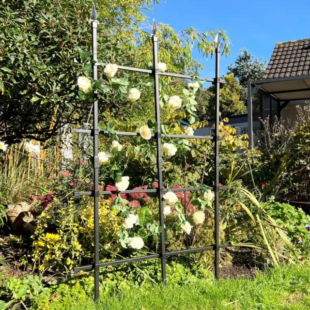 Treillis de Jardin pour Rosier, Fleurs et Plante Grimpante Exterieur 180x150cm