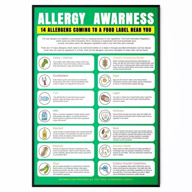 Food Allergy Labels Warning Sign Poster Food Allergen Print - A5 A4 A3