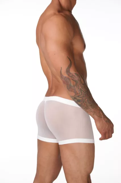 MENS N2N N10 See-thru Net Pouch Front Underwear Boxers EUR 24,39