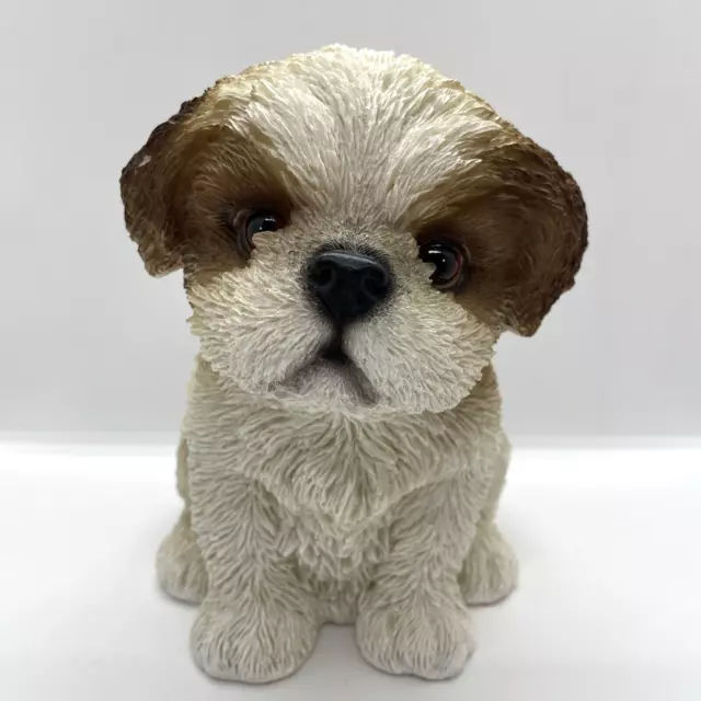 Estatuilla Escultura Vivid Arts Pet Pals Marrón y Blanco Shih Tzu Cachorro Perro Ornamento