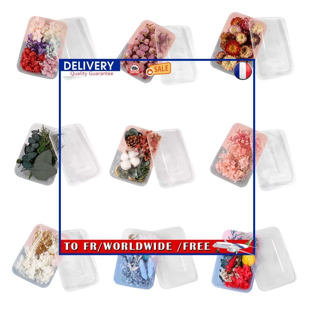 Dried Flower Material - Real Pressed Dry Flowers & Leaves Set for Nail Art Make