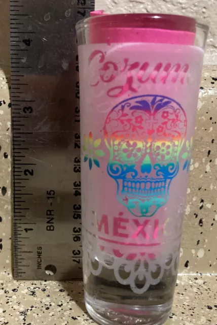 Cozumel Mexico Day Of The Dead Travels Souvenir Shot Glass 4" Tall SKULL FROSTED
