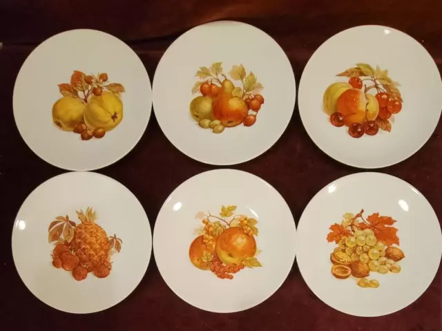 Bareuther Waldsassen Bavaria Germany Set of 6 Fruit Plates 8" VG