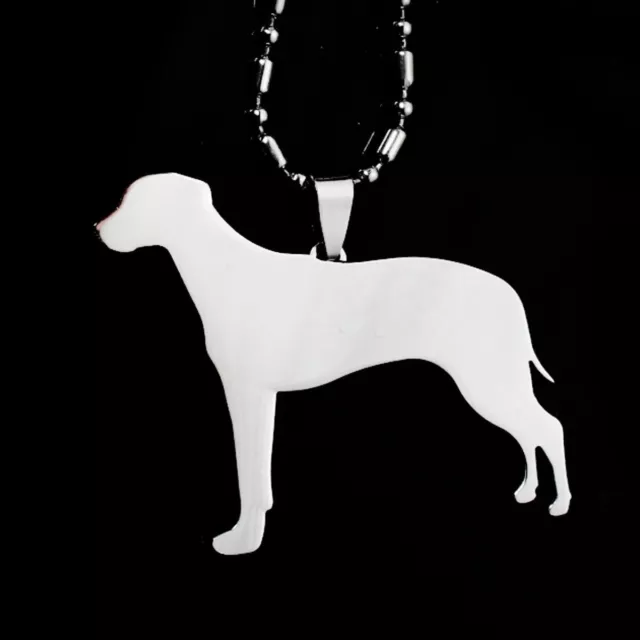 NEW Stainless Steel Rhodesian Ridgeback African Lion Hound Dog Pendant Necklace