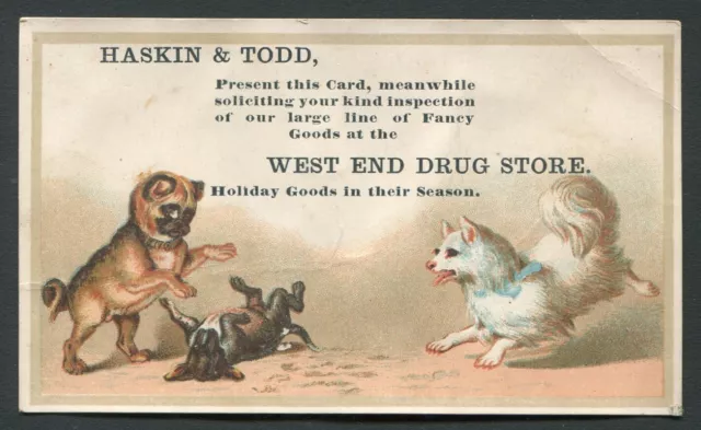 HASKIN & TODD’S WEST END DRUG STORE ~ 3 DOGS ADVERTISING TRADE CARD 1880s