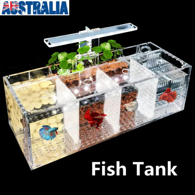 Trio Aquarium LED Betta Fighing Fish Fighting Fish Tank Small Fish Tank