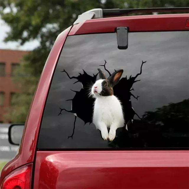 Sale,Funny Rabbit decal,Cute bunny decal,pet decal, car decoration