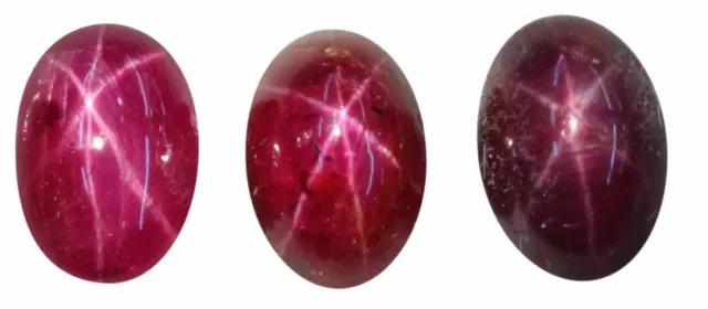 Natural Fine Rich Red Star Ruby - Oval Cabochon - AAA Grade - Unheated, Untreate