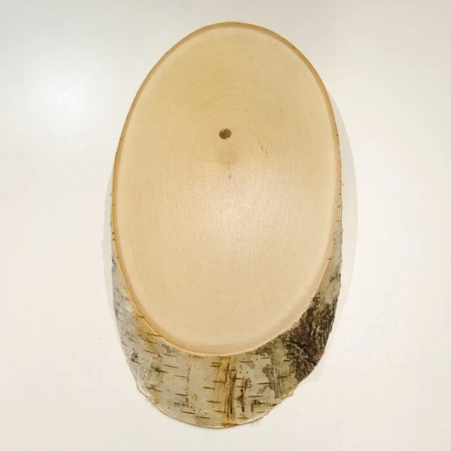 Abedul Placa Escudo de Trofeo para Ciervo Baumscheibe Baumschild Af 19cm 3