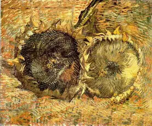Art Oil painting Vincent Van Gogh - Two Sunflowers on canvas