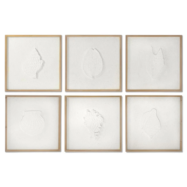 Cadre DKD Home Decor Coquillages méditerranéen (6 Unités) (50 x 2 x 50 cm)