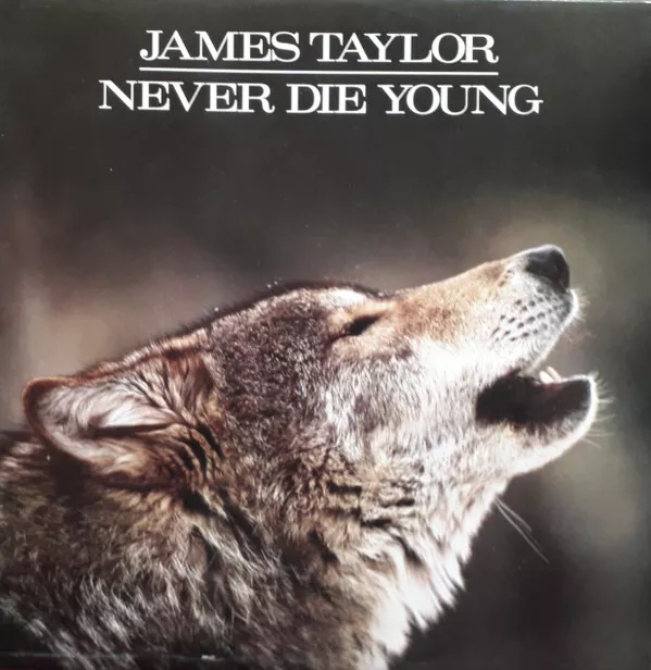 James Taylor (2) Never Die Young Vinyl Schallplatte Neuwertig oder M-/VG+