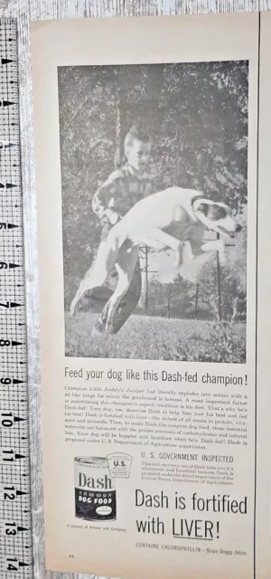1954 Dash Dog Food Vintage Print Ad Armour Canned Food Greyhound Champion B&W