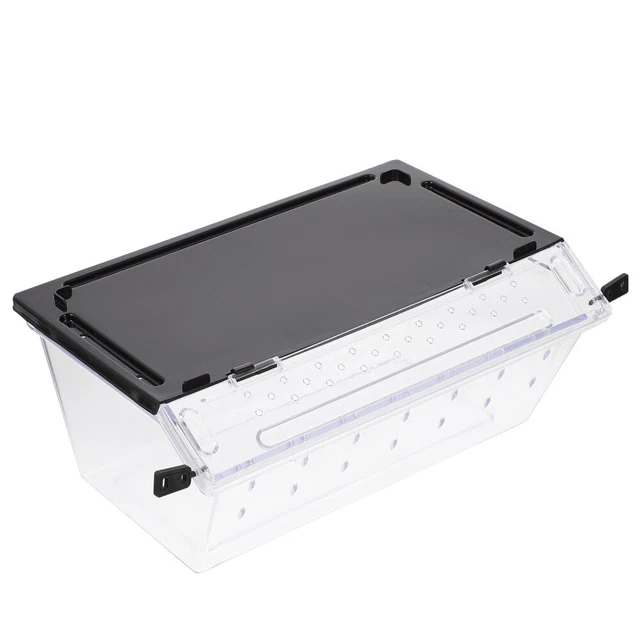 Scatola di alimentazione rettili in plastica rettili rettili terrario terrario terrario di riproduzione terrario