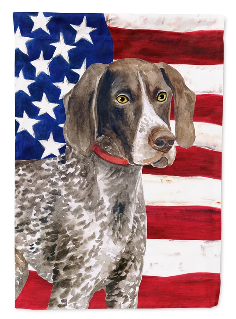 German Shorthaired Pointer Patriotic Flag Garden Size BB9641GF