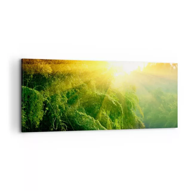 Canvas Print 100x40cm Wall Art Picture Tropics Trees River Medium Framed Artwork