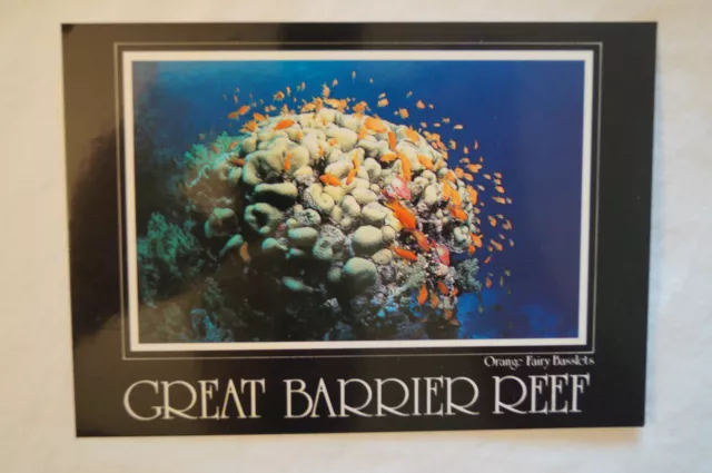 Great Barrier Reef - Collectable - Postcard. 3