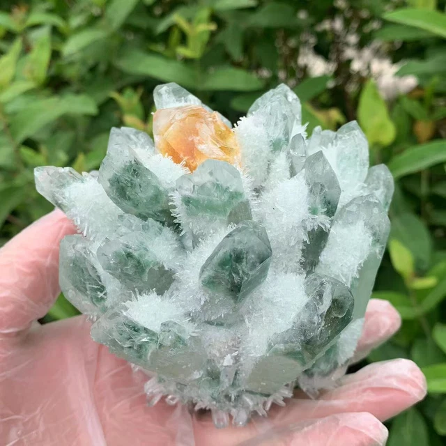 300g+ New Find Green -Yellow Phantom Quartz Crystal Cluster Mineral Specimen Gem