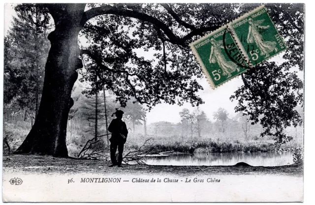 (S-119167) FRANCE - 95 - MONTLIGNON CPA      E.L.D.  ed.