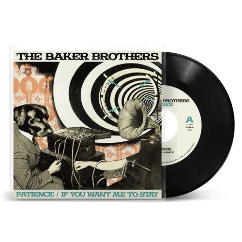 THE BAKER BROTHERS Time To Testify Vinyl Jazz Funk Usado EUR