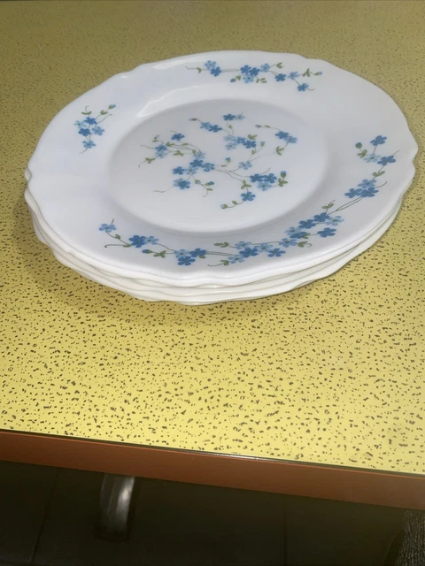 Lot De 6 Assiettes à Dessert Vintage Arcopal Années 70-80 – Décor Myosotis Véronica Bleu