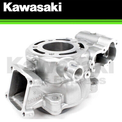 Kawasaki 2006 Kx100 Cylinder Jug And Gasket Kit 11005-0053 New Oem 